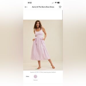 NWOT Aerie Orchid At The Barre Dress
